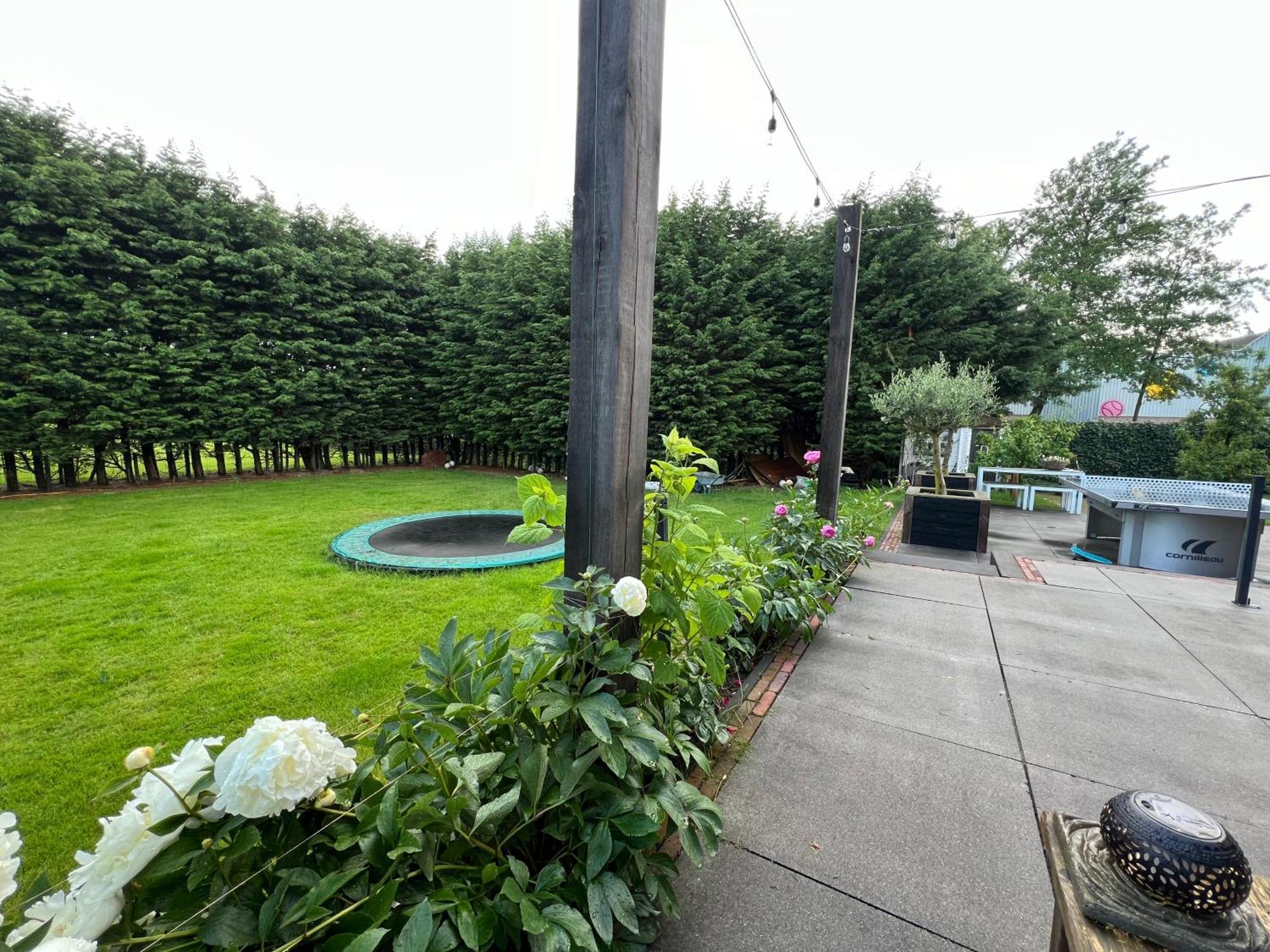 Bed and Breakfast Paauwze Rijnsburg Екстер'єр фото